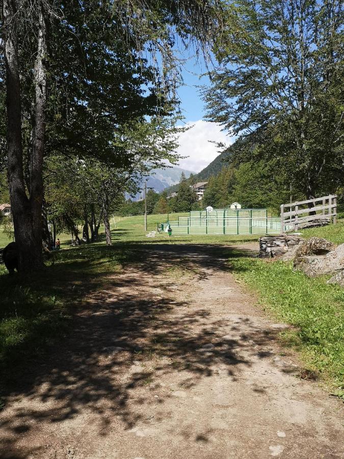 Chalet Calme